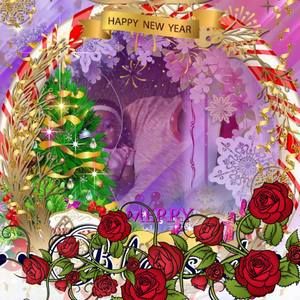 Meet your Posher, Ray